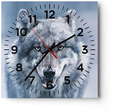 Modern Wanduhr Wolf Raubtier Wildheit 40x40cm Quadrat Groß Wand Uhr Glas Analog Zimmeruhren Küche Büro Wohnzimmer Glasuhr Wall Clock Dekoration Design Wanddekoration Küchenuhr C4AC40x40-5073