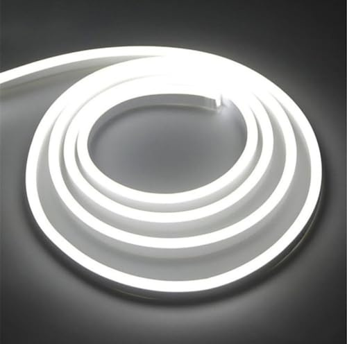 ONSSI® Neon LED-Strip 220V (kaltweiß,30M),12W/m jeder Schnitt von 10 cm,288Led/m COB-Lichtschlauch mit,IP65 mit Schaltersteckdose und Aufkleber,Neon LED-Streifen für den Innen-und Außenbereich