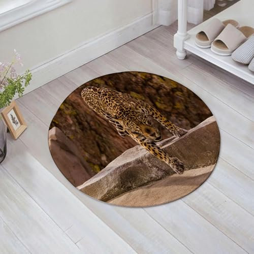 FSDGY Badvorleger Fußmatte Flauschig Teppich Badezimmerteppich Duschmatte für Bade & Wohnzimmer Schlafzimmer,EIN unverwechselbarer Anblick eines Jaguar-Tigers, der Sich an Seine Beute heran,60x60 cm
