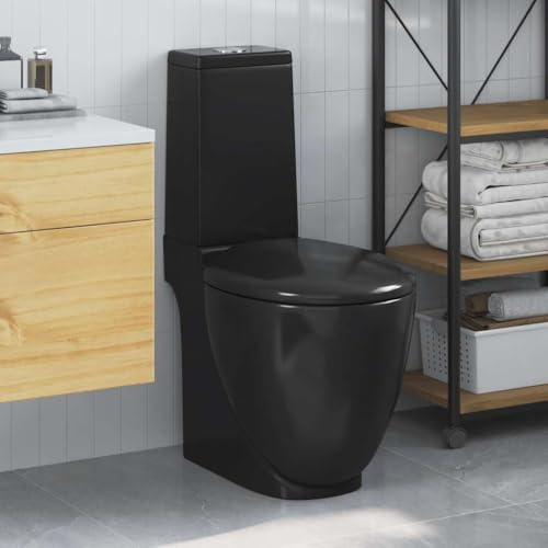 Ziaphsol Inodoro de cerámica negro con salida horizontal en la parte posterior, 65 x 38,5 x 84,5 cm, dos cantidades de descarga de 3 y 6 litros, asiento de cierre suave para baño