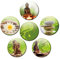 Buddha Magnete für Glasmagnettafel Extra Stark Wellness Motiv 6er Set Gross Rund 50mm Bambus Natur Grün