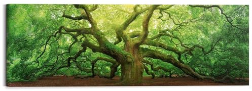 REINDERS Wandbild, Alte Eiche, Schlafzimmer, Wandbild, Wanddeko, Room Decor, MDF, Grün, 40x118cm