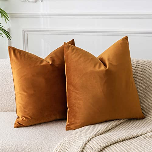 JUSPURBET Rost Samt-Kissenbezüge 45cmx45cm 2er-Set für Wohnzimmer Couch Sofa Schlafzimmer Dekorative Quadratische Feste Weiche Kissenhüllen mit unsichtbarem Reißverschluss