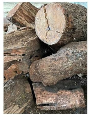 Mugar -Leña para Chimenea, Estufa o Barbacoa. Leña de Encina y Olivo- Troncos de leña Mediano 30-40cm - Distintas Cantidades (Encina, 200 kg)