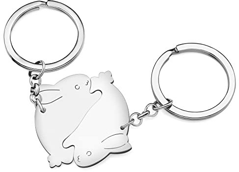RAIDIN Valentinstag Geschenke für ihn ihr süße Hase 2pcs Paar Schlüsselanhänger Kaninchen Schlüsselring für Freund Freundin (Silber-144 Kaninchen Hase)