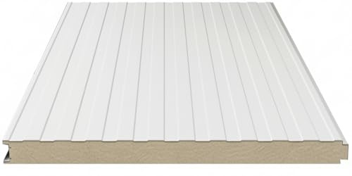 Pannello Coibentato per Pareti (Pannelli Sandwich) - Isolamento Termico e Acustico Superiore (misure 100 cm x 100 cm spessore 3 cm )