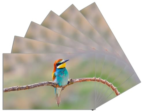 Wallario 6er Set Frühstücksbrettchen aus Glas, Glasunterlage, Glasbrettchen Vogel auf AST, Größe 14 x 23 cm, Sicherheitsglas