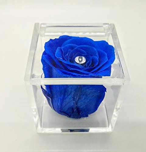 Rosa blu eterna vera stabilizzata in cubo di plexiglass. Idea regalo handmade. Alta qualità. Originale regalo.