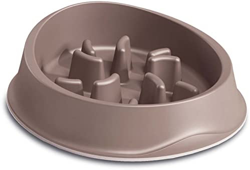 Zolux Ecuelle antidérapante Slow Feeder 0.5 litres