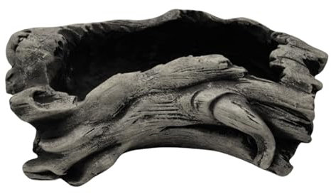 Pocoiau Macetero para suculentas, macetas pequeñas para plantas suculentas, cactus, árbol y tronco, maceta de madera