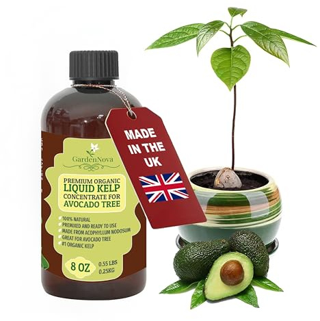 GARDENNOVA Premium Organic Seaweed & Kelp Superfood for Avocado Plants - 8 oz - Liquid Kelp Fertilizer Concentrate (Makes 25 Litres)