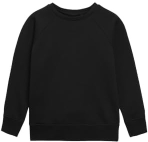 NEXT Jungen Standard Pullover mit Rundhalsausschnitt 98-182