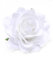 Wisafory 10 Stück Künstliche Blumenköpfe Rosen Blütenköpfe RosenKöpfe Kunst Blumen Rosen Köpfe Kunstblumen Rosen Seidenblumen Dekoration für Hochzeit Party DIY Basteln 11 cm Weiß
