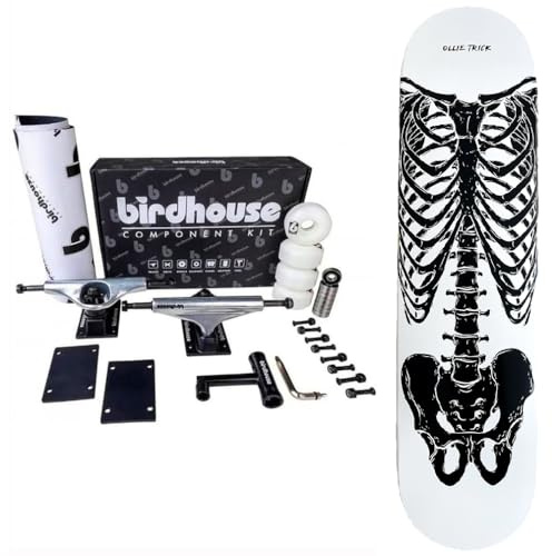 Komplettes Skelett-Skelett-Skelett-Skelett-Skateboard bauen Sie Ihr Skateboard aus kanadischem Ahorn Skeleton und Profi-Set Up Birdhouse (Skeleton, 8.0)