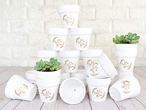 Let Love Grow Sukkulententen-Töpfe, weiß, Mini, 20 Stück, kleine Tontöpfe, weiße Terrakotta-Keramik, Blumentöpfe für Sukkulenten, Babypartys, Hochzeitsgeschenke (Golddruck)