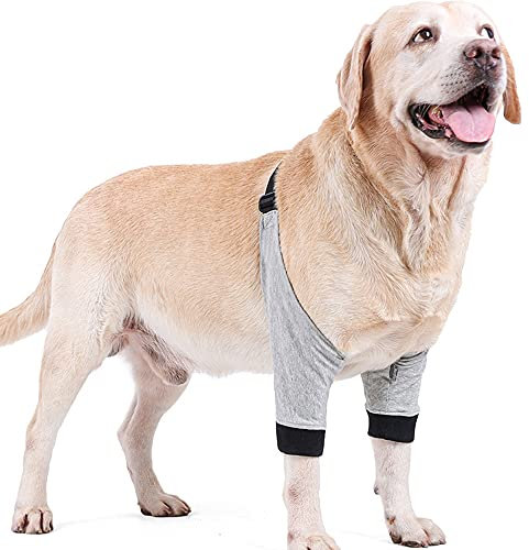 Sprunggelenkbandage für Hunde, schützt Wunden, Kompressionsbandage mit Gurten zur Heilung und verhindert Verletzungen und Verstauchungen, hilft Arthritis für kleine, mittelgroße und große Hunde (S)
