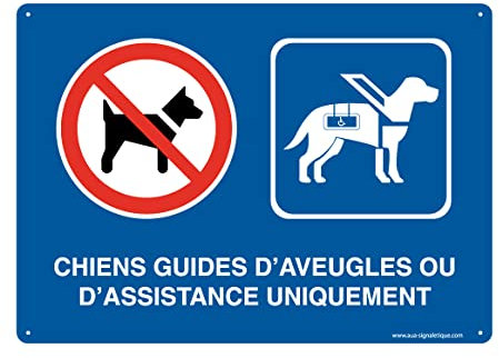 AUA SIGNALETIQUE - Panneau Signalétique en PVC Rigide et Compacte 1.5 mm. (170 x 121 mm, Chiens Guides D'aveugles 3)