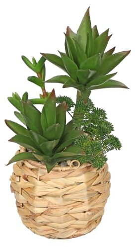 Hollyone Plantes succulentes artificielles dans un pot tissé de 27 cm - Plantes succulentes artificielles en pot - Plantes décoratives - Plantes succulentes pour décoration de table, maison, salle de