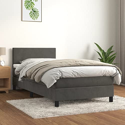 Sufrk Boxspringbett mit Matratze Dunkelgrau 100x200 cm Bett Boxspringbett Bett Mit Matratze Polsterbett Schlafzimmer MöBel Samt - 3141168