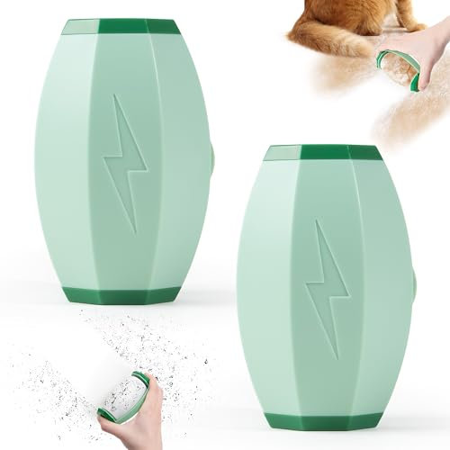 Fusselrolle wiederverwendbar – Tierhaarentferner Kleidung mini, abwaschbar und tragbar, zum Hundehaare entfernen auf Kleidung, Sofa, Auto und mehr (2 Stück, Grün)