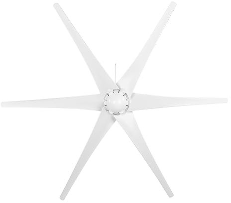 Professionelles Windturbinen-Kit, 1600 W 6-Blatt-Windgenerator 2,0 m/s Windmühle mit niedriger Startwindgeschwindigkeit für Heimwerker im Freien(12V-Weiß) Dynamo