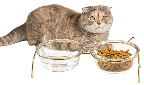 Qucey Cat Food and Water Bowls Set, Raised Cat Bowls for Food and Water, Elevated Pet Glass Bowls with Stand, 17 oz Cats and Dogs Bowl, Anti Vomiting, Dishwasher Safe