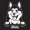 speedwerk-motorwear Akita Version 1 - Sticker, Aufkleber, Hundeaufkleber, Autoaufkleber, Hund, Auto, Hunderassen, Mischling, Mix, Tiere, Haustier (AUCH MIT Wunschname MÖGLICH)