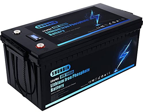 Lifepo4 100ah 48V 4800Wh Lithium iron phosphate battery for Solar System/Motor Home/Boat/Golf Carts/RV car battery Waterproof With fast charger