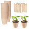 Green Thumbz Plant Pots - 100 Pack (6cm) Fibre Pots for Seedlings with Wooden Labels for Easy Transplanting - Small plant pots for Seedlings, Vegetables, Flowers and Herbs