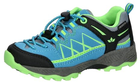 Lico Griffin Low V