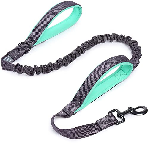 VIVAGLORY Hundeleine Pullsafe Bungee Leine Hund, Führleine Hundeleine mit Doppelgriff & Zwei Griffen für Hausleine Joggingleine, Bungee & Stark Ziehende für Hunde, 120 x 2.5cm, Grau