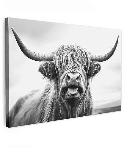 MuchoWow© Bild auf Leinwand Groß 120x80 cm XXL Schlafzimmer Bilder Wand Deko Wohnzimmer Modern Wanddeko Bilderwand Geschenk Schottisches Hochlandrind - Kuh - Schwarz und weiß - Hörner - Fell - Zunge