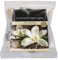 OnlineStreet Scented Tealight Votive Candles Pack - Wax Tarts in Different Assorted Refreshing Fragrances with 8 Hours Burning Time (Vanilla and Sandalwood)