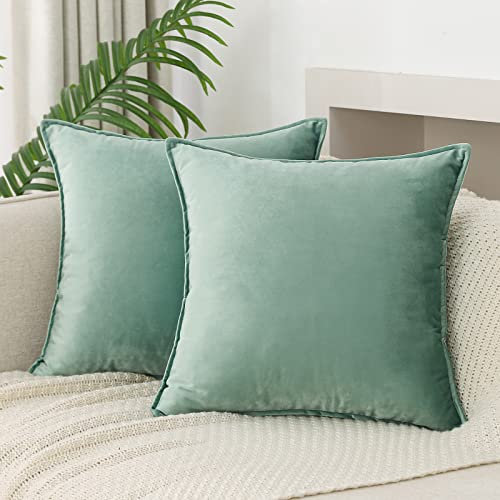 JIAHANNHA Velvet Saga Green Kissenbezüge, Dekokissen, 2 Stück, dekorativ, weich, für Couch, Sofa, Schlafzimmer, Wohnzimmer, Auto, 45,7 x 45,7 cm