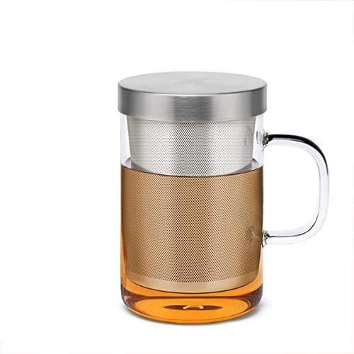 Victory-eu Glass Tea Cup Mug, Tea Glass Heat Resistant Borosilicate Glass Food Grade Infuser Filter Stainless Steel Lid, Suitable for Home or Office(500ml)