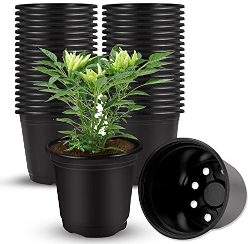 Augshy Macetas de plástico, 40 Unidades, 10 cm, macetas de jardín, macetas de plástico para propagación de plántulas suculentas, trasplante de esquejes (Negro)