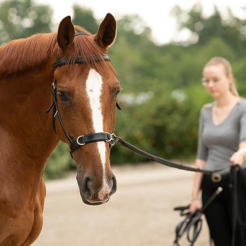 SUNRIDE Kappzaum aus Echtleder - mit Zügel - sanfte Führung für eine harmonische Verbindung (Cob, schwarz)