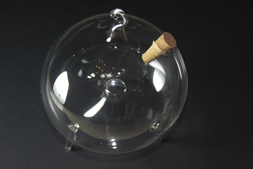 Fruchtfliegenfalle aus Glas, 10cm.