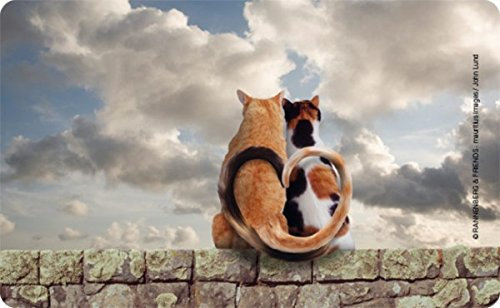Rannenberg & Friends Frühstücksbrettchen Katzen auf der Mauer, Brettchen 23x14cm, Katze