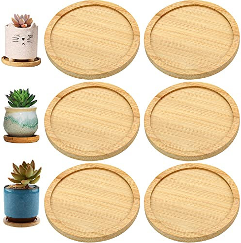 BOFUS Plant Pot Saucer Set of 6, Small Round Plant Tray Wooden Base Succulent Pot Drainage Water Plates for Indoor Tiny Planters Natural Bamboo Serving Tray Wooden Plate Platter
