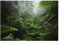 WallArena - Vlies Fototapete Wald Regenwald Dschungel Natur Blätter 368x254 cm - Fototapeten - Tapeten - für Wohnzimmer Schlafzimmer - Vliestapete Wandtapete Tapete 3D Effekt- inkl. Kleister