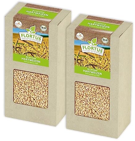 FLORTUS BIO Hartweizen Getreide Samen 400g | Weizen zur Herstellung von Weizenkleie Nudeln Couscous Smoothie Katzengras & Microgreens | Sprossen Samen