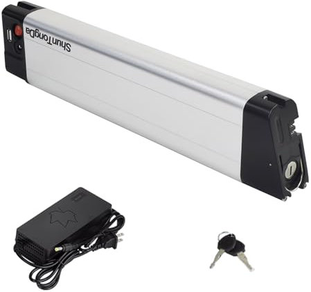 Ersatz Batterie für Zündapp Z101 Elektrofahrrad Ersatz akku 36V 8Ah Ersatzakku für Zündapp Z101 Ebike Akku (36v8ah 2pins)