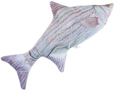 COLLBATH Moving Fish Katzenspielzeug Katzenspielzeug Fisch Flopping Fisch Katzenspielzeug Schlenkerfisch Haustier Teaser Katzenspielzeug Interaktive Katzenminze Tanzende Katze Plüsch Umzugsbedarf