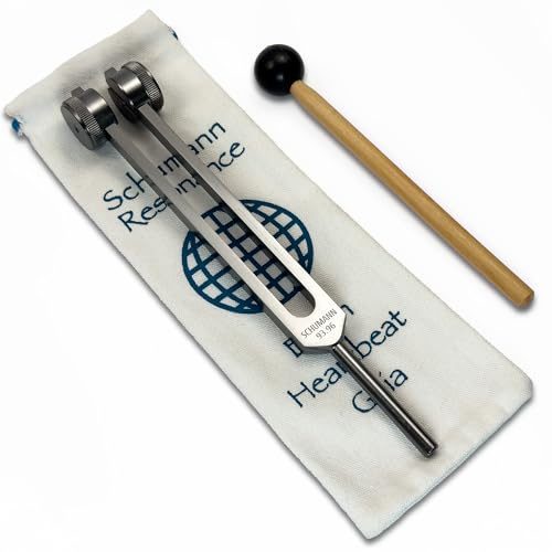 93.96Hz Schumann Weighted Tuning Fork, World Grid, Earthy Gray | With Carry bag & Stirker, Sound Healing Instruments and Biofield Harmonization - Chakra Alignment