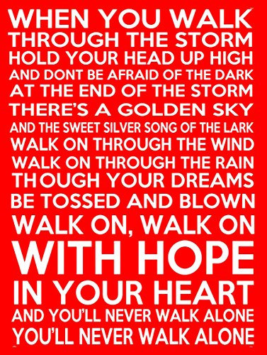 Shawprint YNWA Metal sign vintage Shabby chic style YNWA decorative tin wall plaque (150MM X 200MM (6 X 8))