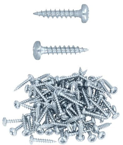 HELPMATE - Lot de 100 vis à bois à tête bombée 4,0 x 20 mm galvanisées – Vis à bois avec entraînement PZ2 et filetage complet – Pour la fixation de ferrures sur bois