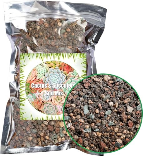 Succulent and Cactus Soil Potting Mix 1000g, Bonsai Soil Mix Ready to Use, Fast Draining with Added Nutrients