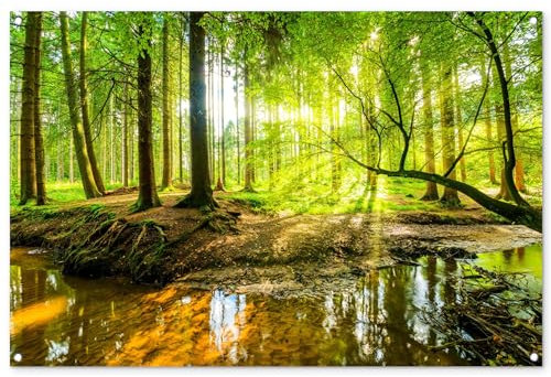 MuchoWow© Gartenposter Groß 120x80 cm XXL Outdoor Bilder Gartendeko für draußen Wetterfest Garten Deko Banner Draußen Gartendekoration Bild Wald - Landschaft - Wasser - Bäume - Sonne - Grün - Natur