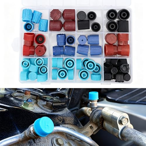 ACOLY Tapones antipolvo para válvulas de aire acondicionado, tapa de refrigerante para coche (paquete de 77)